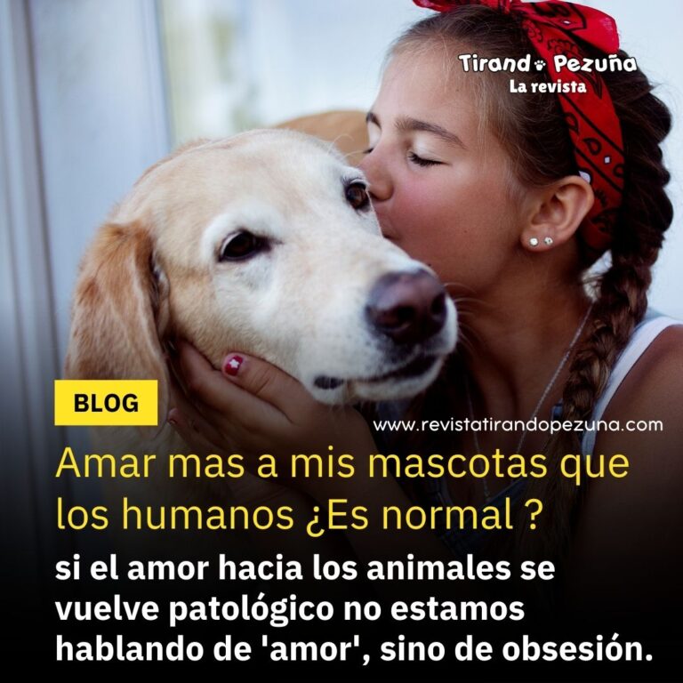 Amar mas a mis mascotas que los humanos ¿Es normal ?