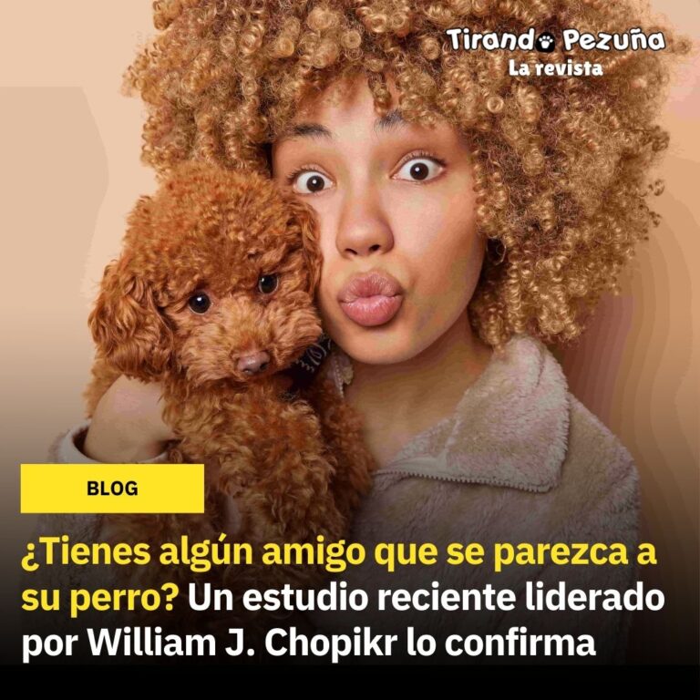 ¿Alguna vez te dijeron que te parecías a tu perro?