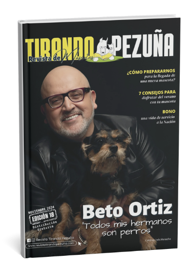 revista en png web