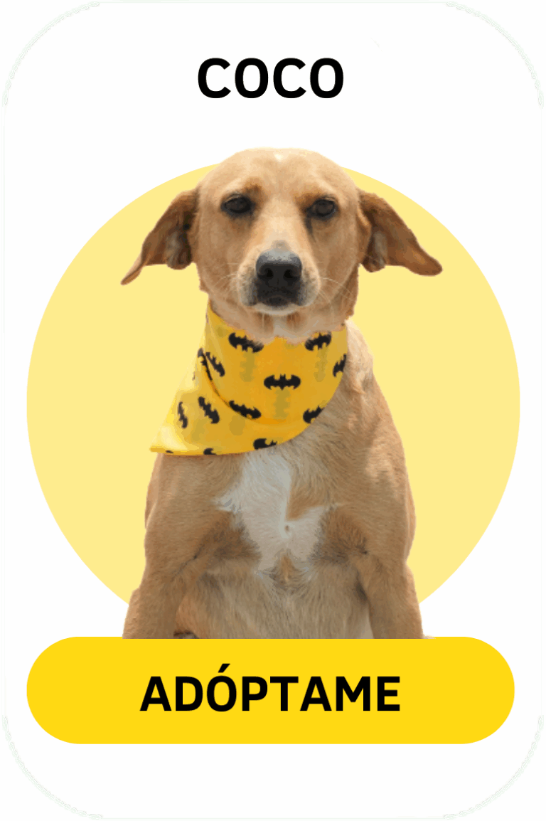 Linea gráfica Tirando Pezuña (4)