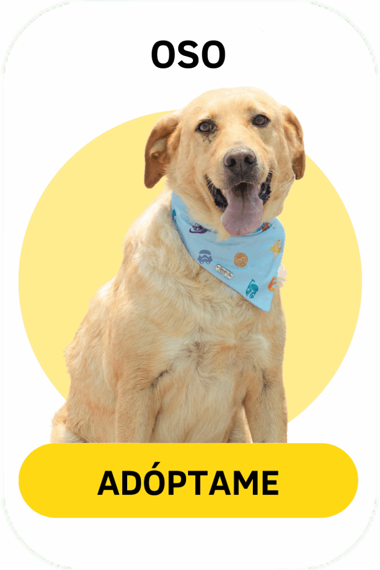 Linea gráfica Tirando Pezuña (5)