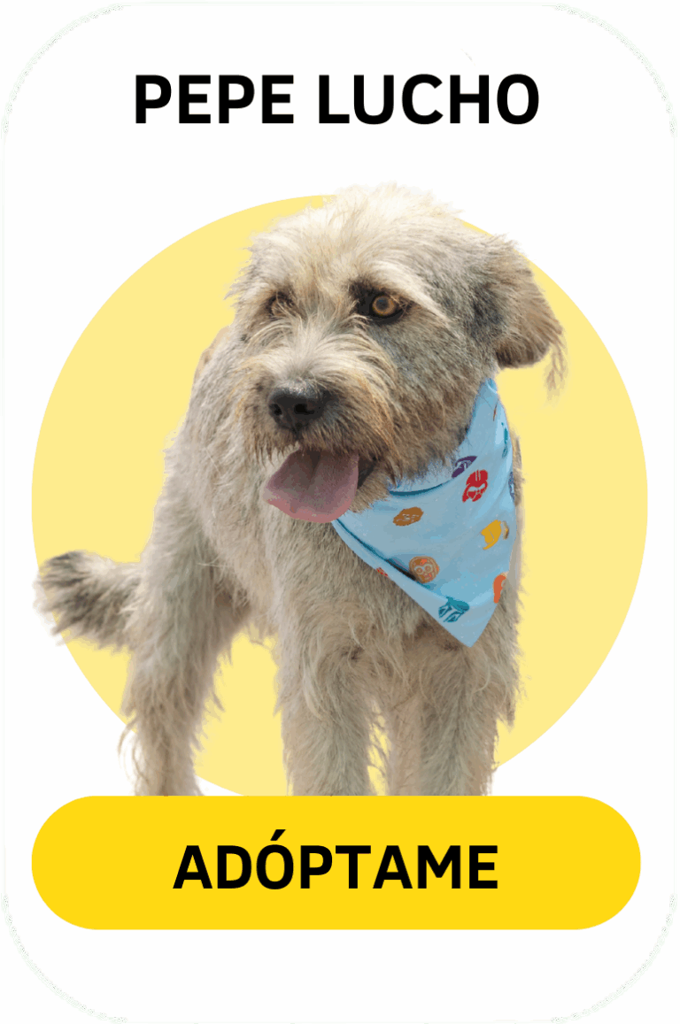 Linea gráfica Tirando Pezuña (6)