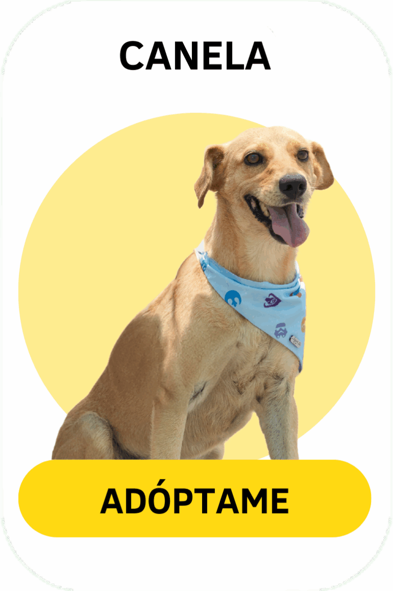 Linea gráfica Tirando Pezuña (7)