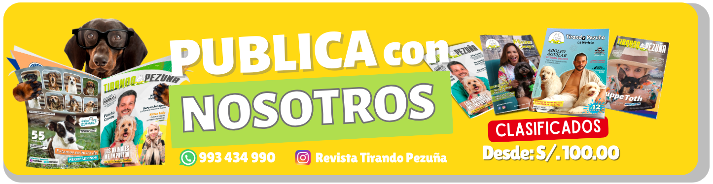 Copia de Banner Web Descuentos Skincare Minimalista Orgánico (1)