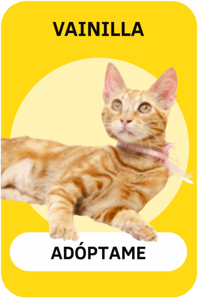 Linea gráfica Tirando Pezuña (12)