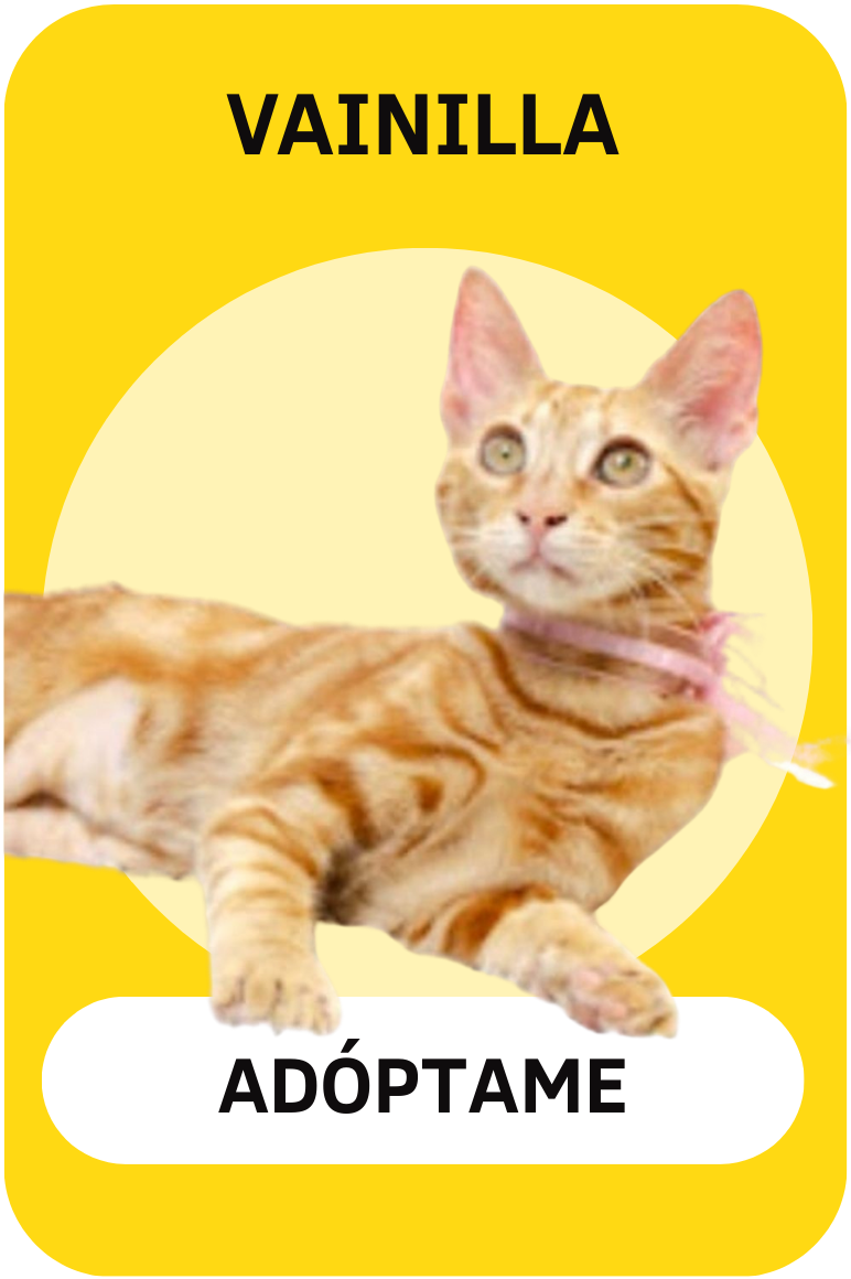 Linea gráfica Tirando Pezuña (12)