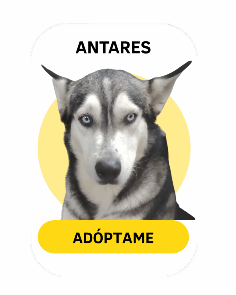 Linea gráfica Tirando Pezuña (17)