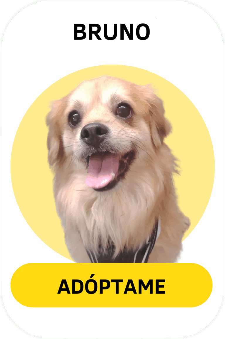 Linea gráfica Tirando Pezuña (18)