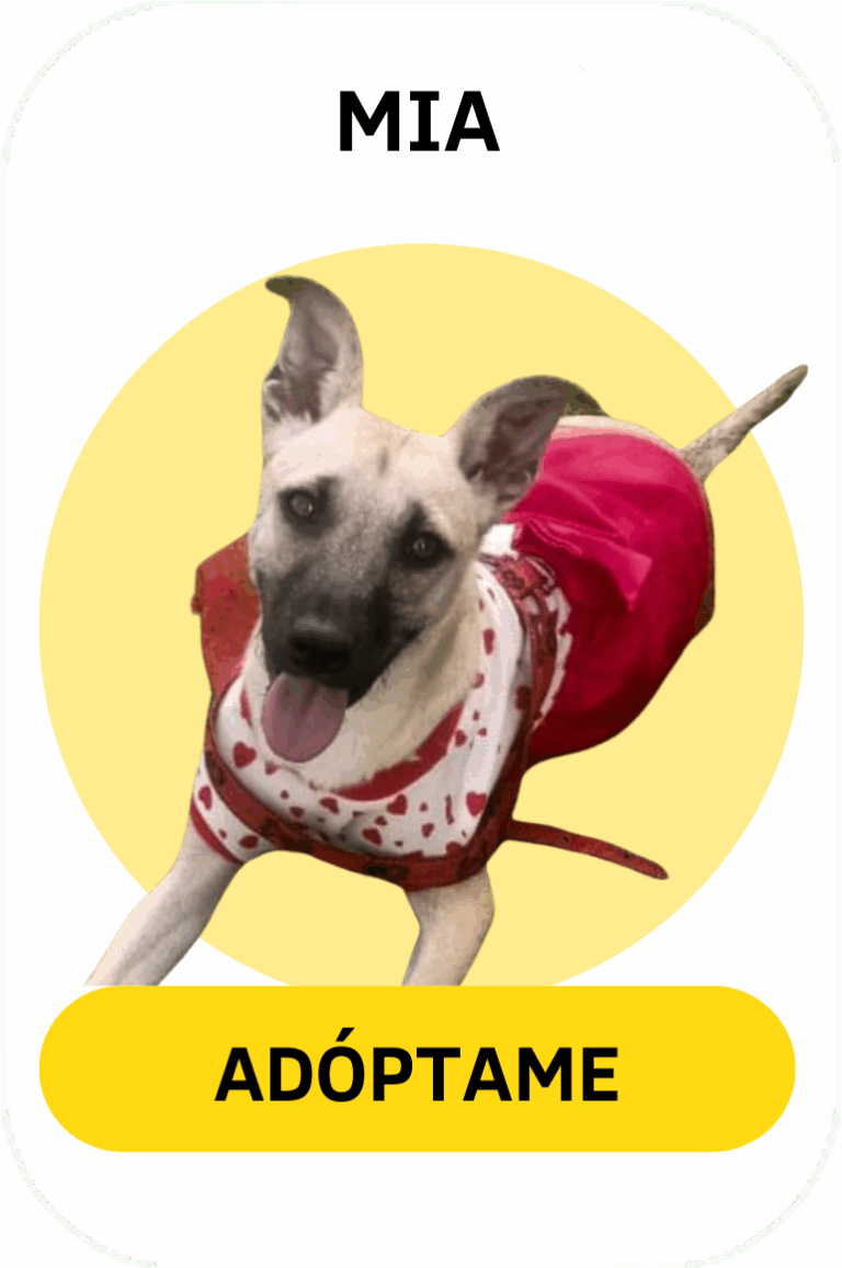 Linea gráfica Tirando Pezuña (19)