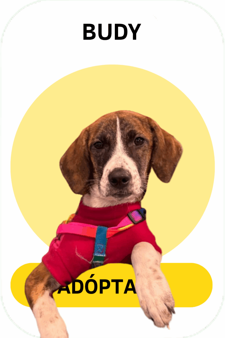 Linea gráfica Tirando Pezuña (20)