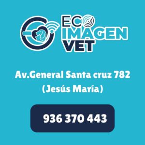 xr:d:DAF-DuniRoI:8,j:8564014770439601293,t:24022807